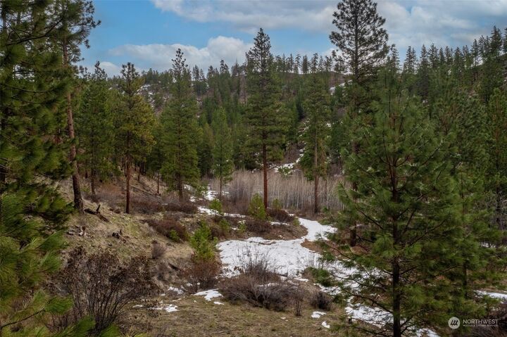 0  Less Traveled Road  Manson WA 98831 photo