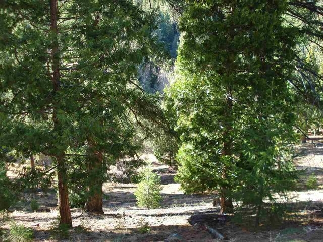 Property Photo:  369 Big Grizzly Road  CA 96122 