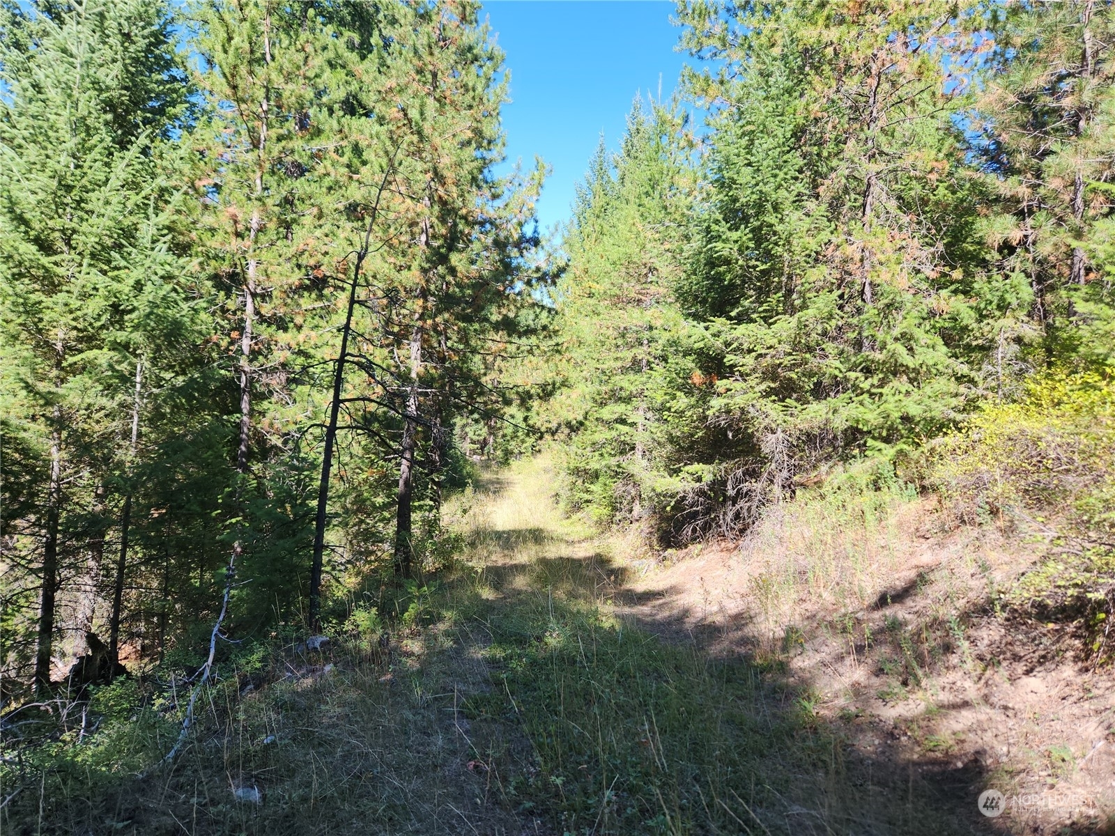 Property Photo:  0 Xxx Turner Lake Road  WA 98855 