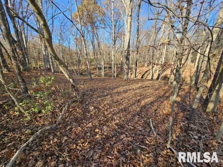 Property Photo:  0000 N Stanford Lane  IL 62872 