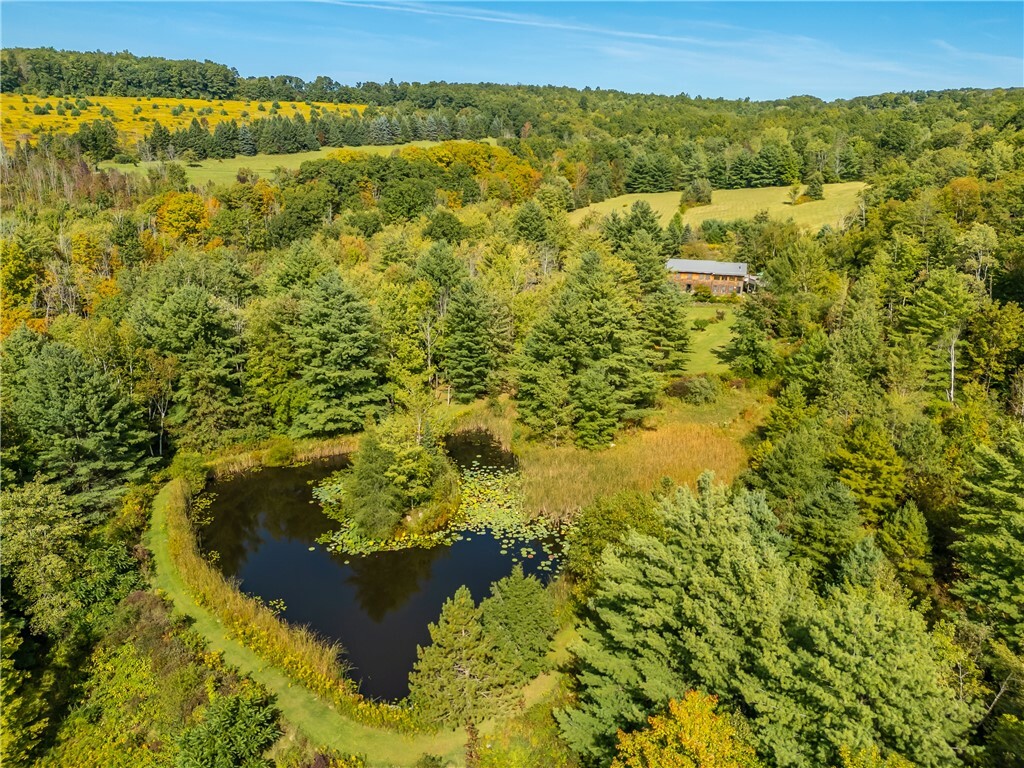 Property Photo:  7836 Freeman Hollow Road  NY 14810 