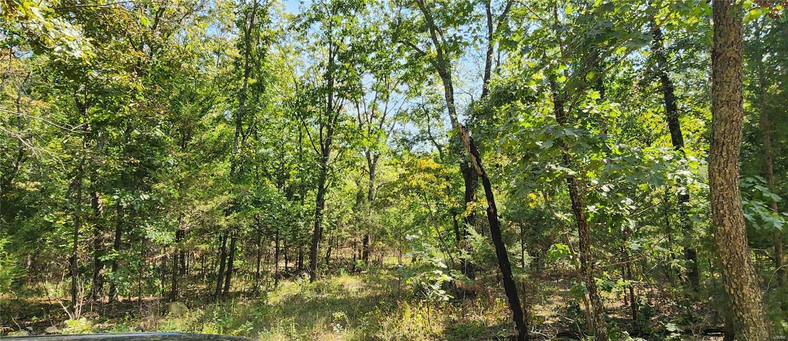 Property Photo:  0 Maries County Rd. 447 Lot B  MO 65559 