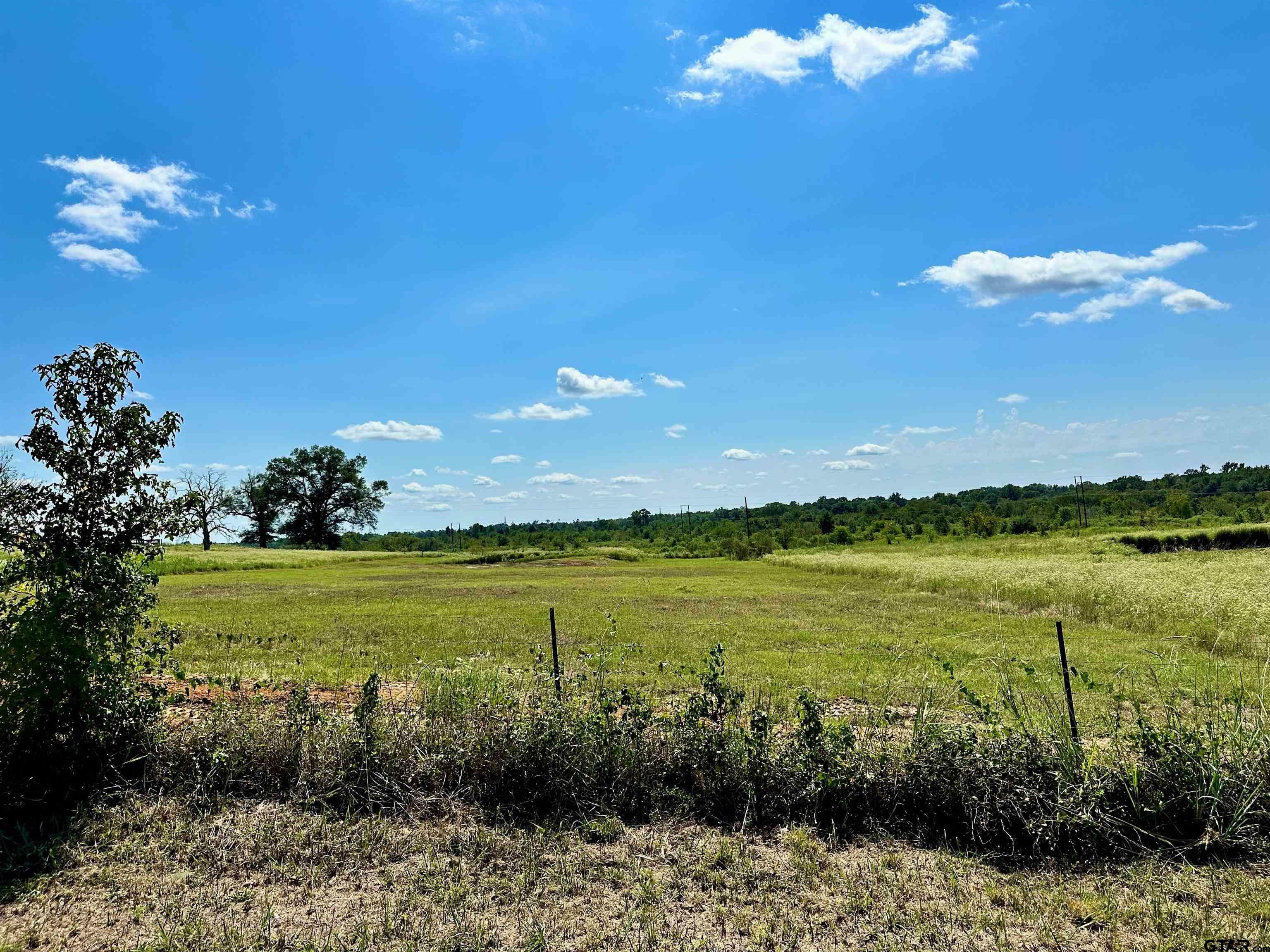 Property Photo:  3218 Fm 1995 Lot 5  TX 75790 