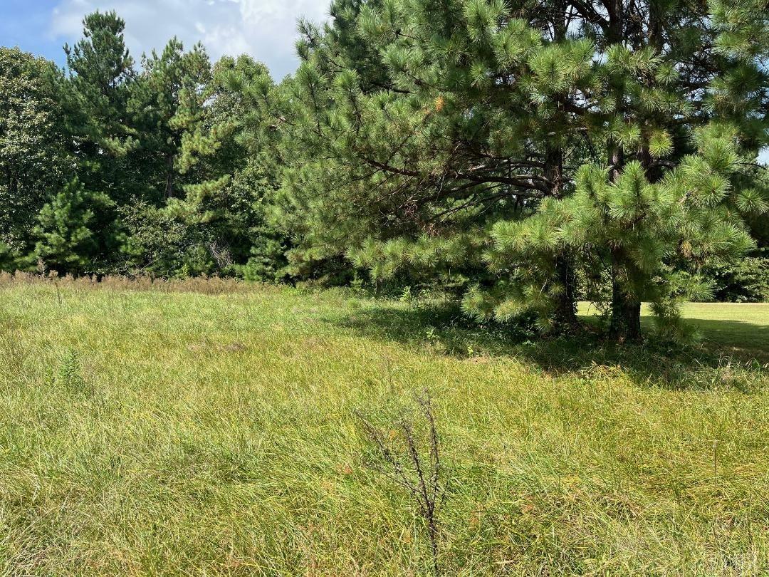 Property Photo:  3053 Clover Road  VA 24534 