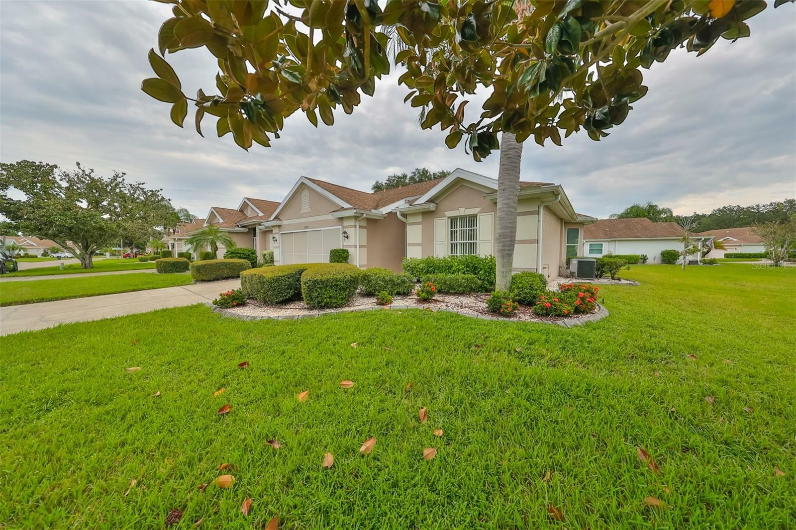 Property Photo:  2332 Olive Branch Drive  FL 33573 