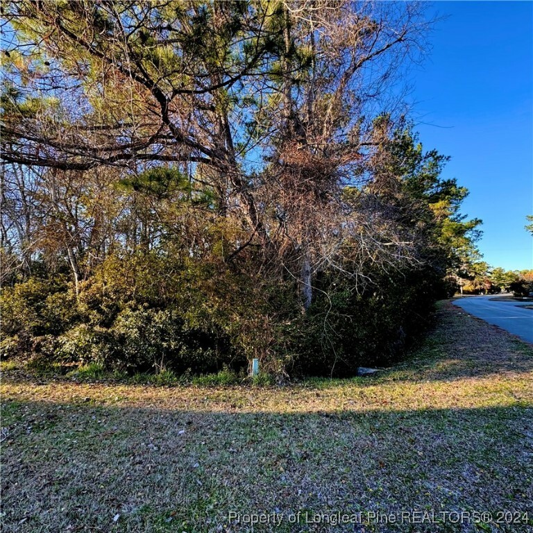 Property Photo:  202 Pettiford Road  NC 28584 