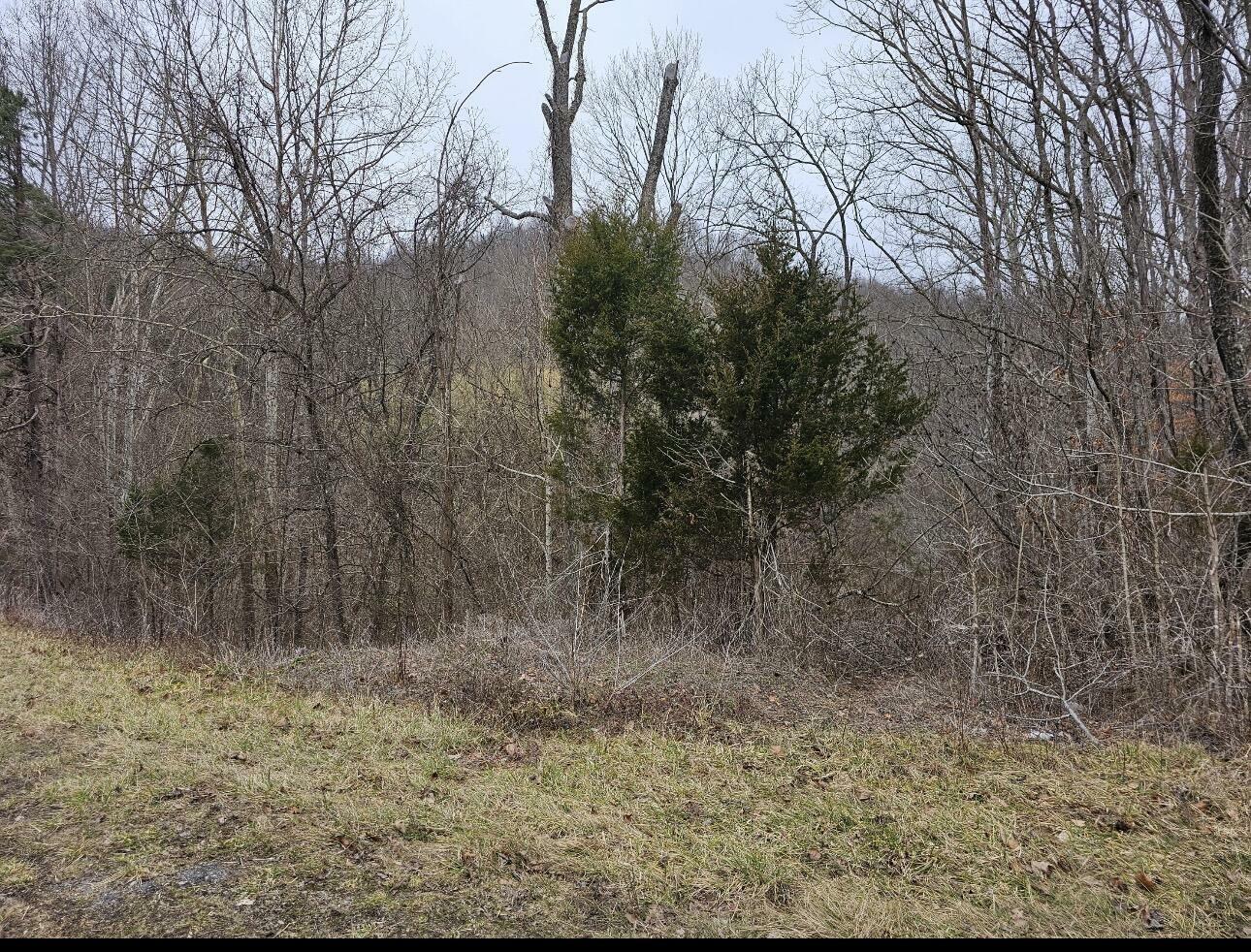 Property Photo:  10374 South Wilderness Road  KY 40445 