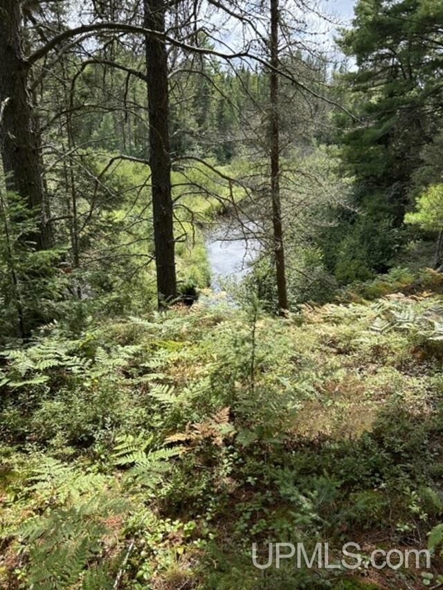 Property Photo: 170 Acres Off Cr 573 Road MI 49849