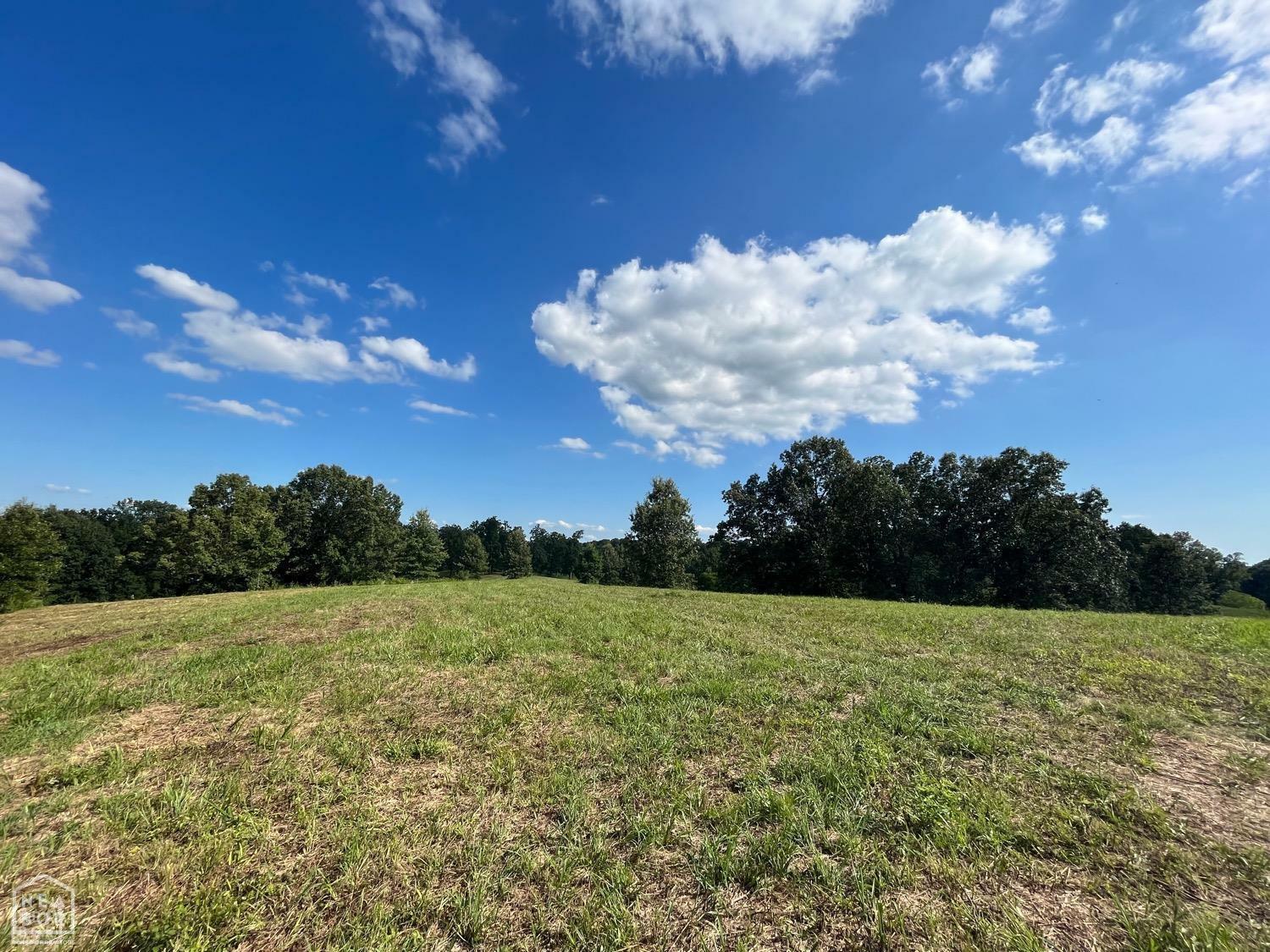 Property Photo:  8 County Road 118  AR 72416 