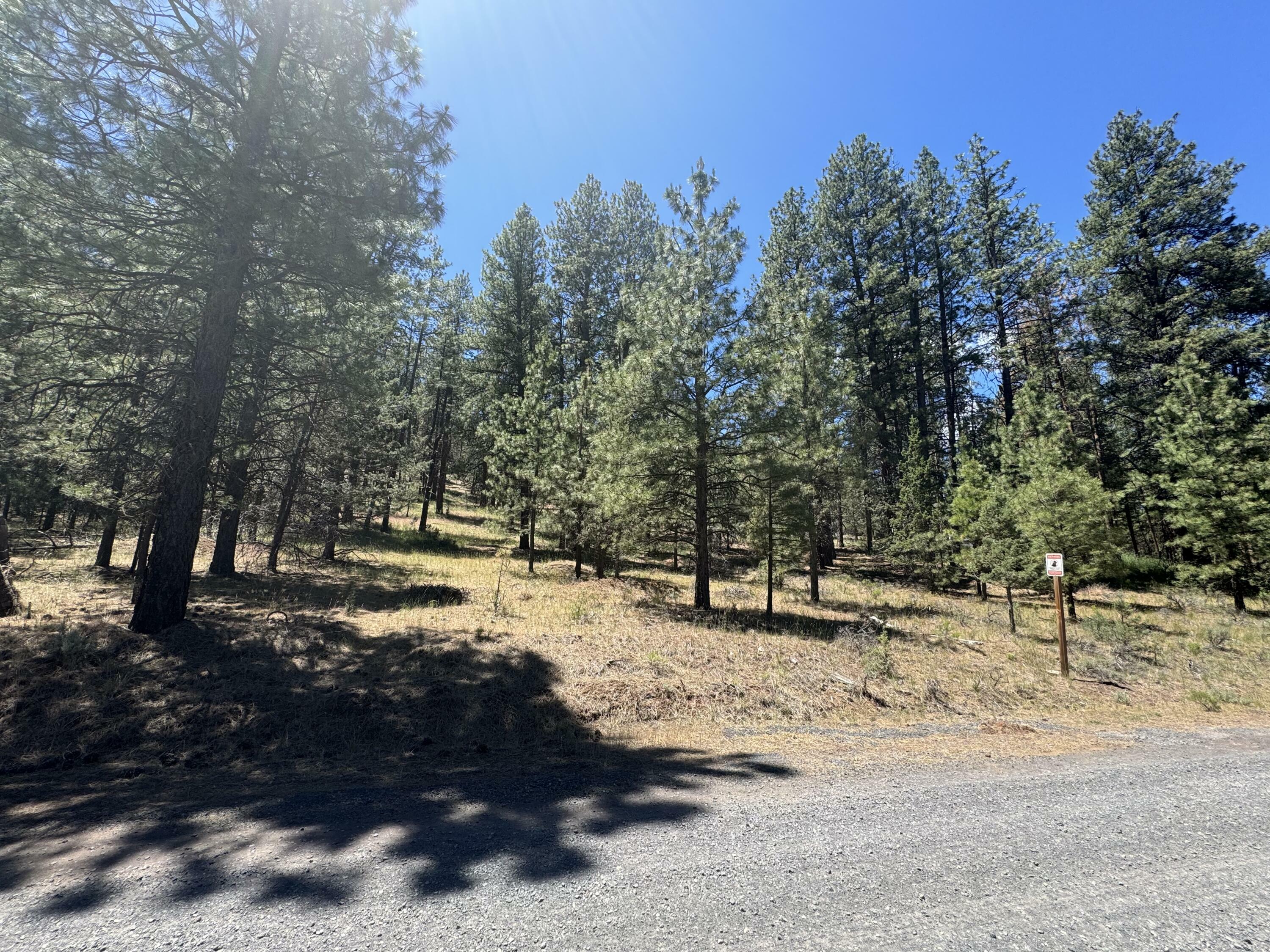 Property Photo:  Overland Drive Lot 1  OR 97603 