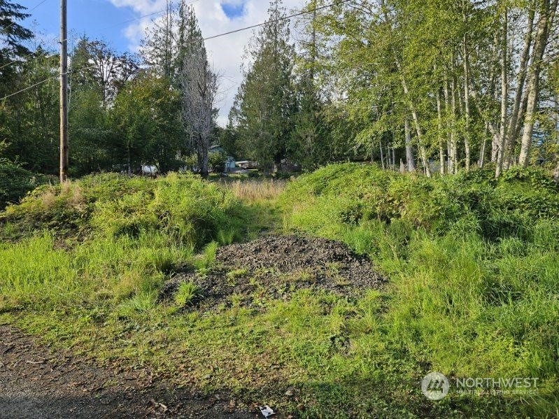 Property Photo:  461 E Panorama Drive  WA 98584 