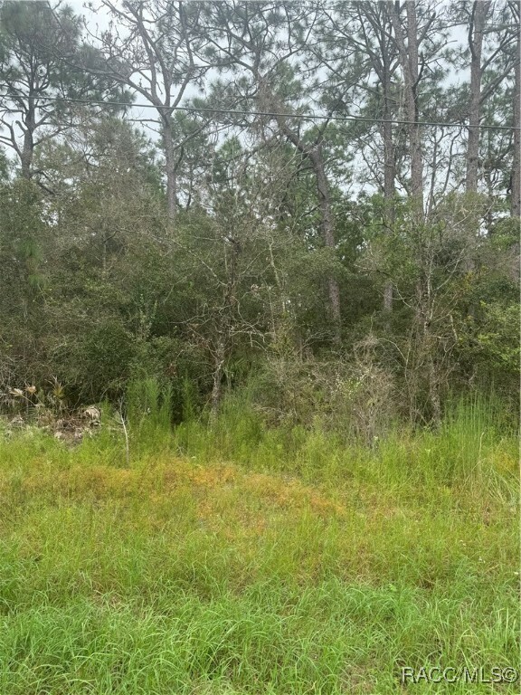 Property Photo:  5034 W Pinto Loop  FL 34465 