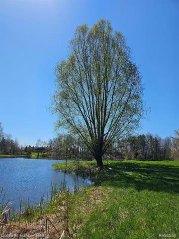 Property Photo:  00 Farmers Creek S Farmers Creek Road  MI 48455 