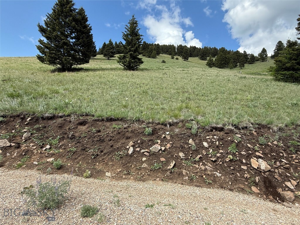 Property Photo: Tbd Scranton Lode Lot 5 Ms 3667 Road MT 59858