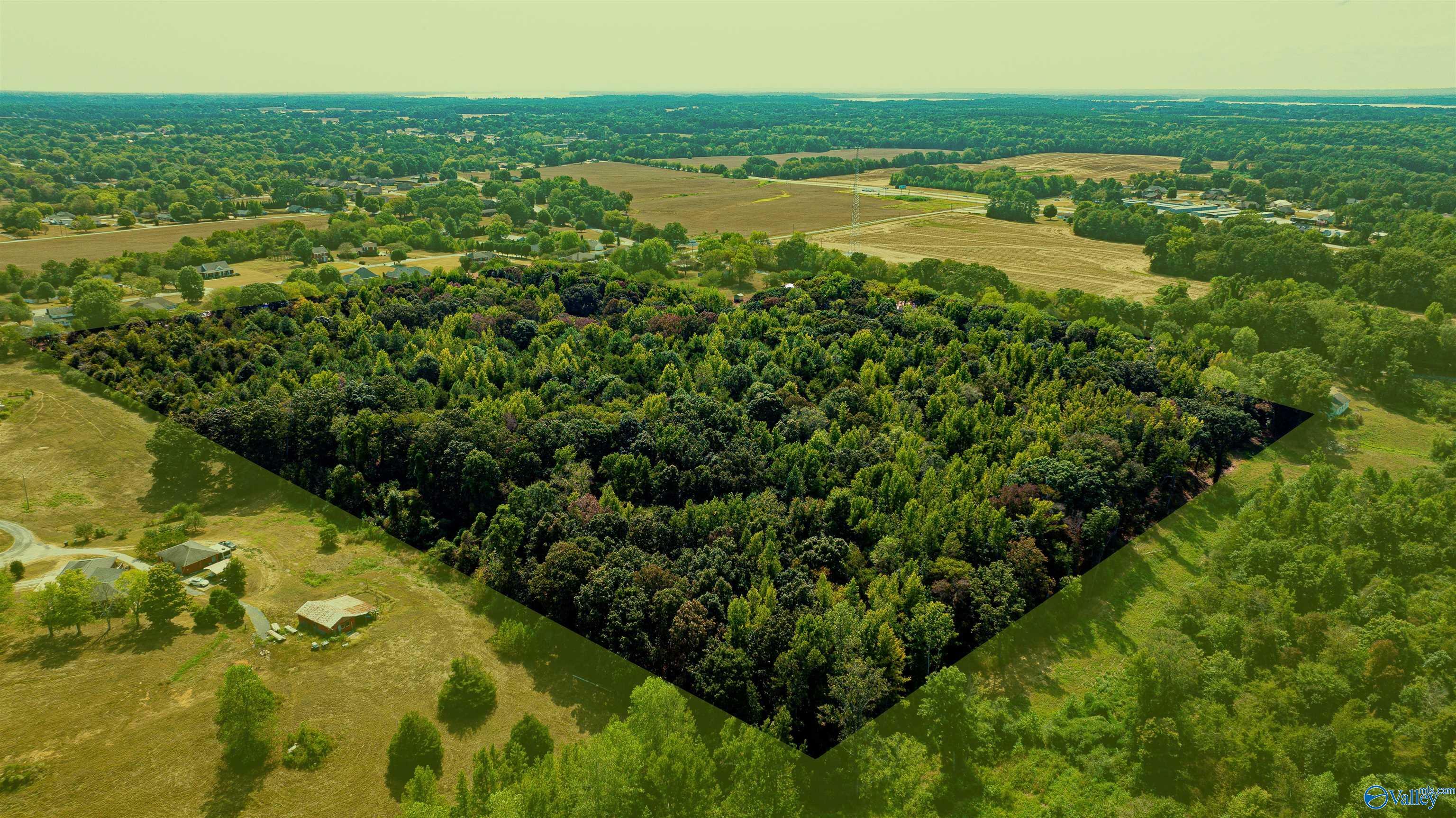 Property Photo:  30 Acres Rose Street  AL 35652 