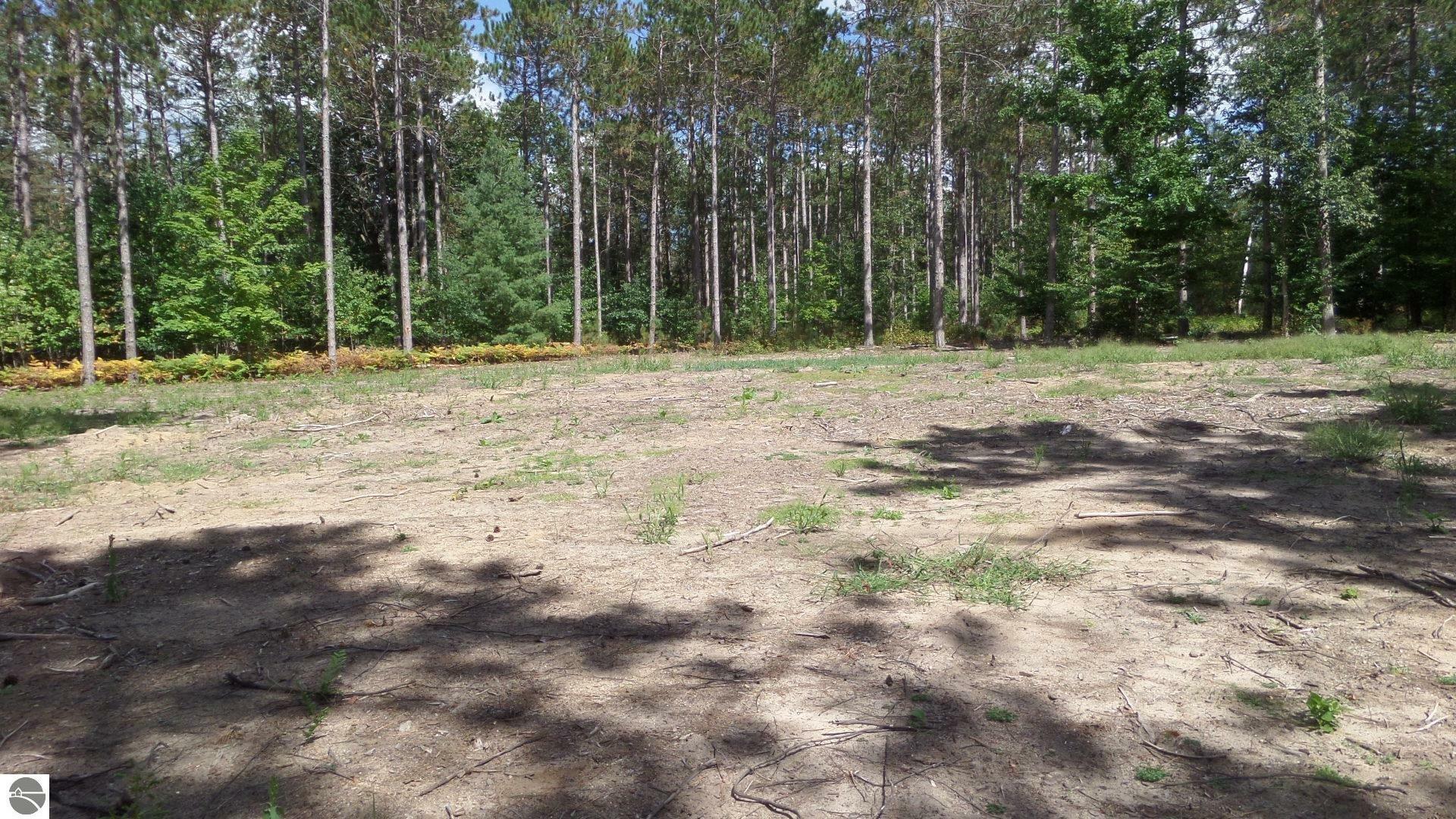 Property Photo:  11382 Emerald Forest  MI 49643 