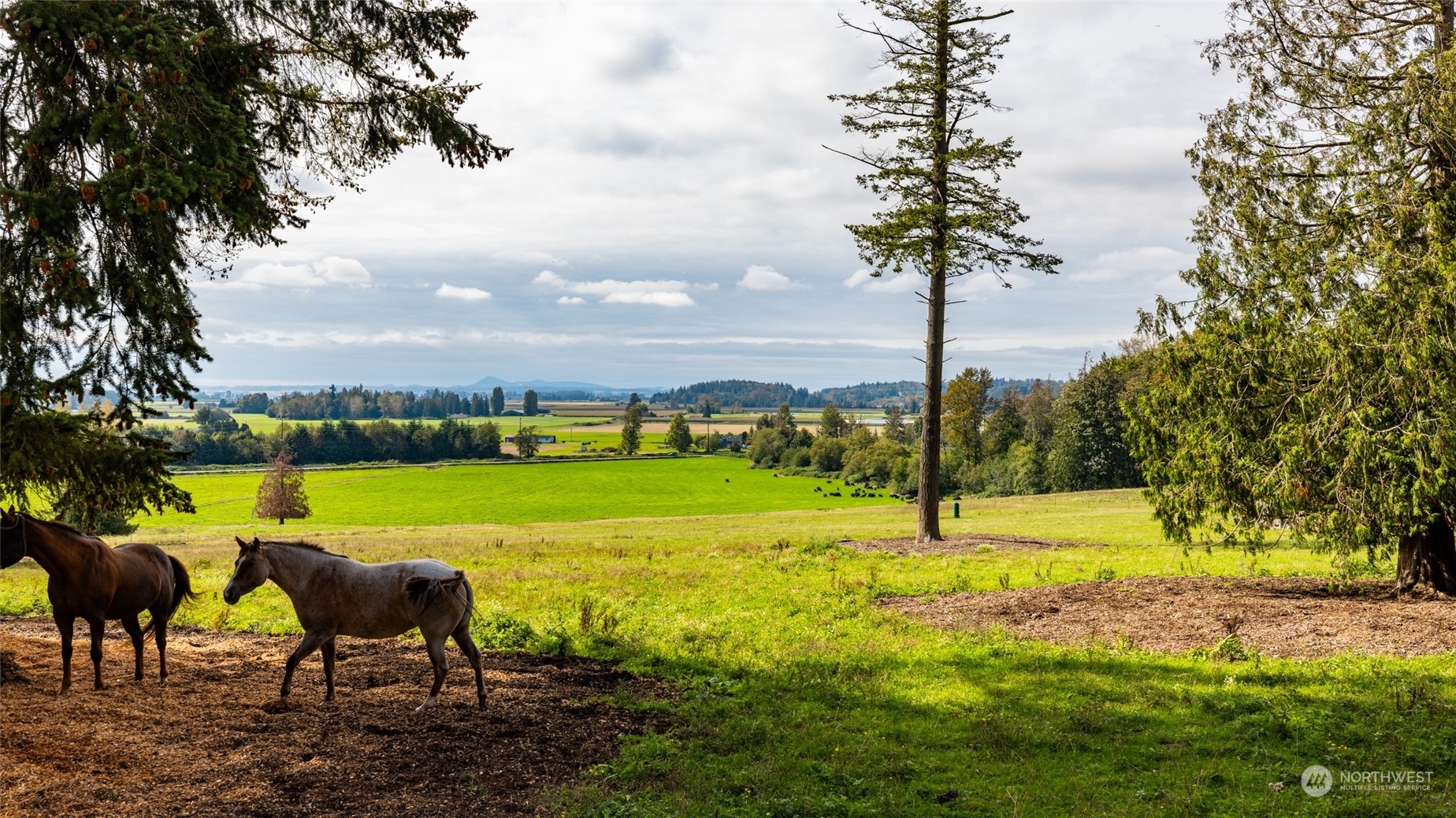 Property Photo:  0 Union Road  WA 98284 