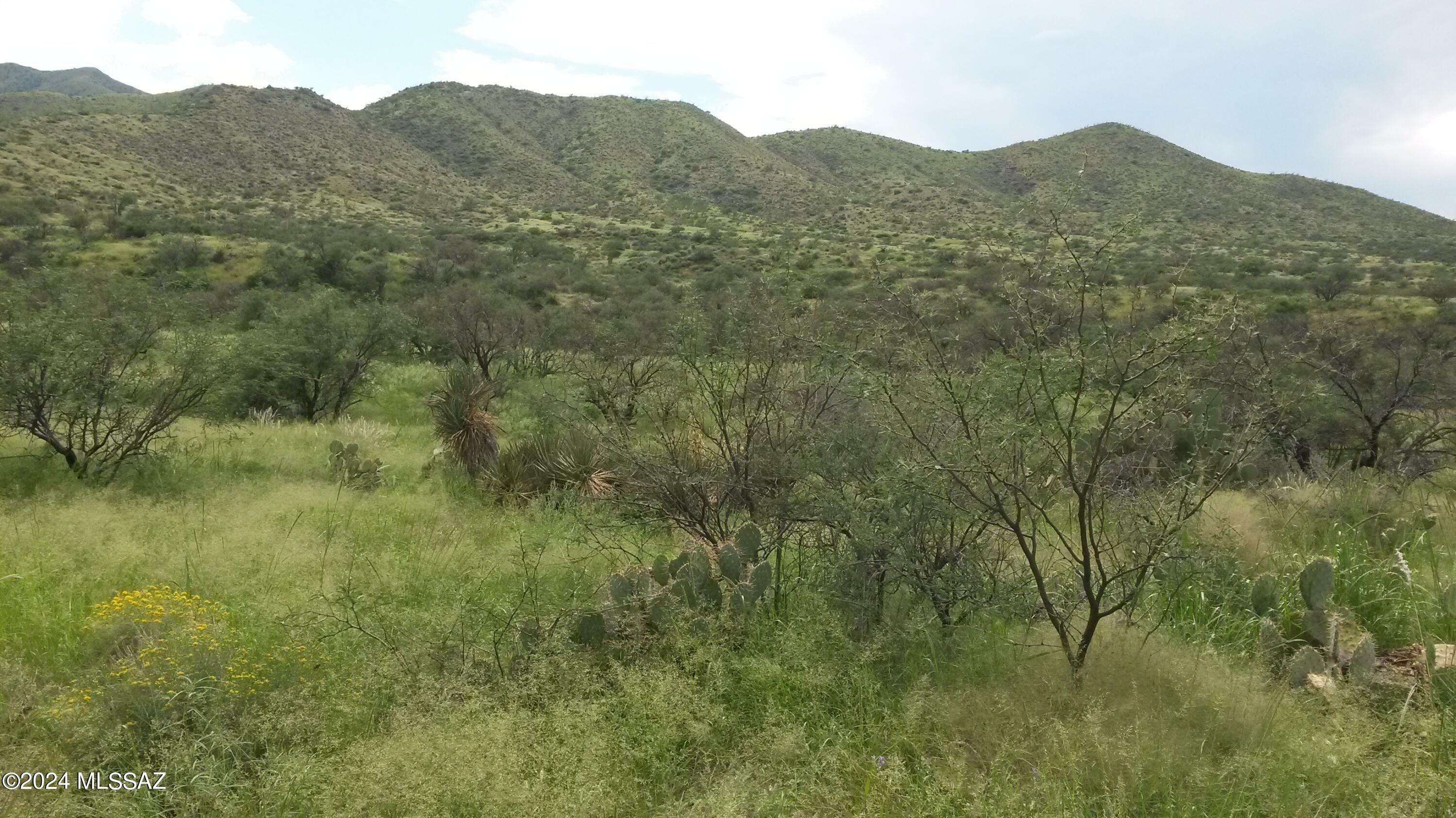 Property Photo:  S Goodenough Trail 5 Lots  AZ 85641 