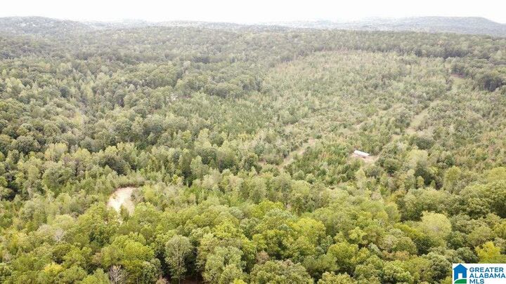 Property Photo: 980 Cedar Creek Road 2 AL 35120
