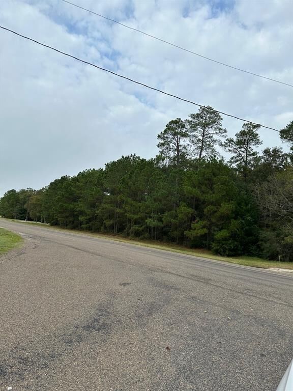 Property Photo: 000 Fm-1409 TX 77523