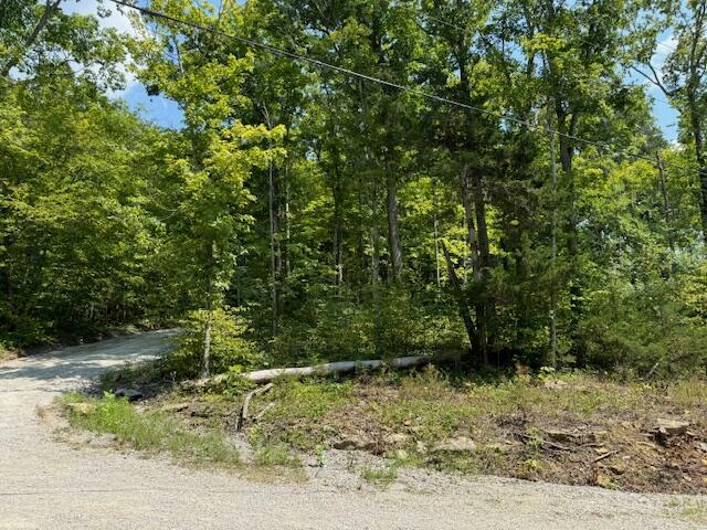 Property Photo:  Lots 1-4 Dixie Bend Road  KY 42519 