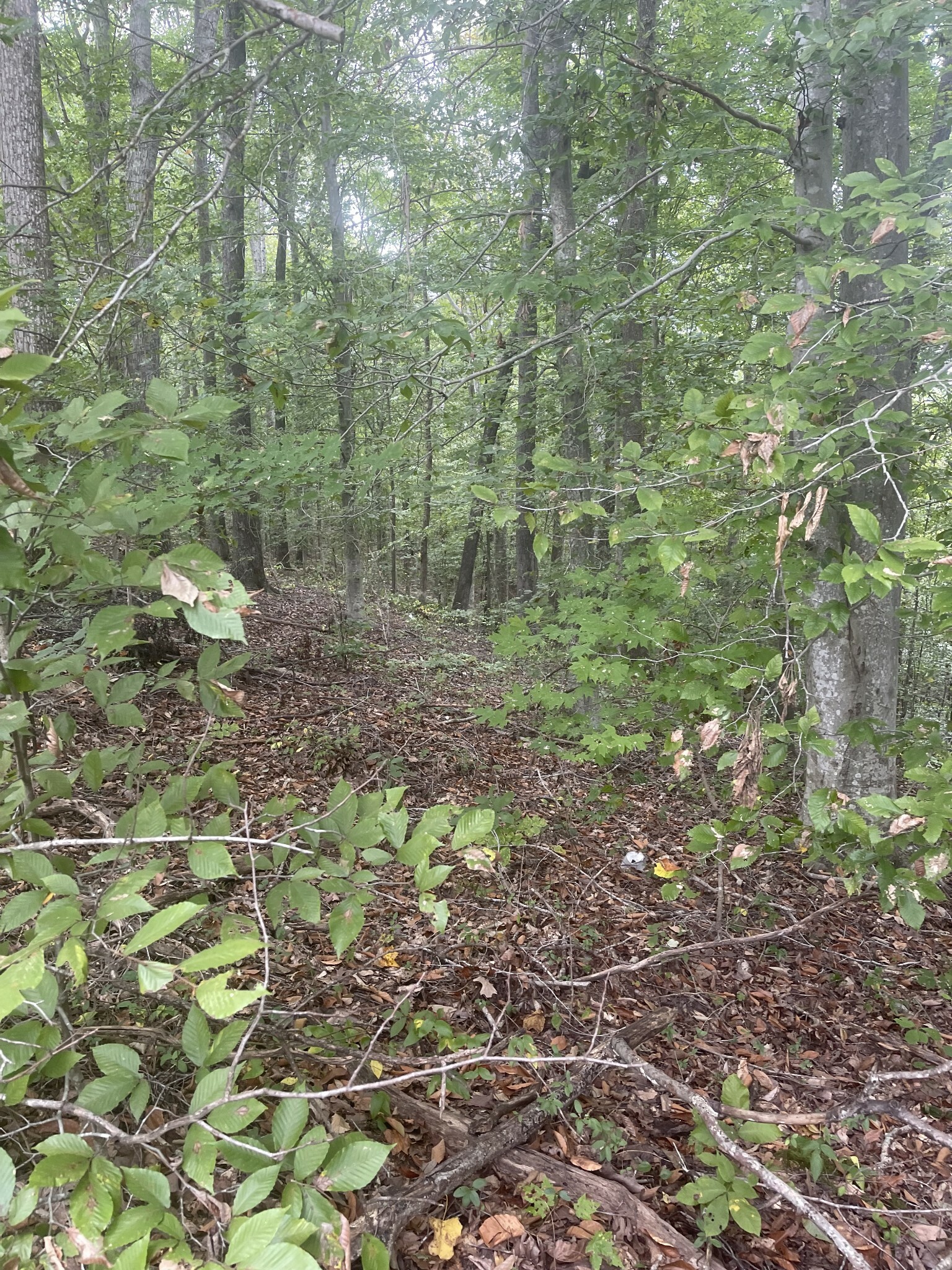 Property Photo:  0 Oak Grove Road  TN 37150 