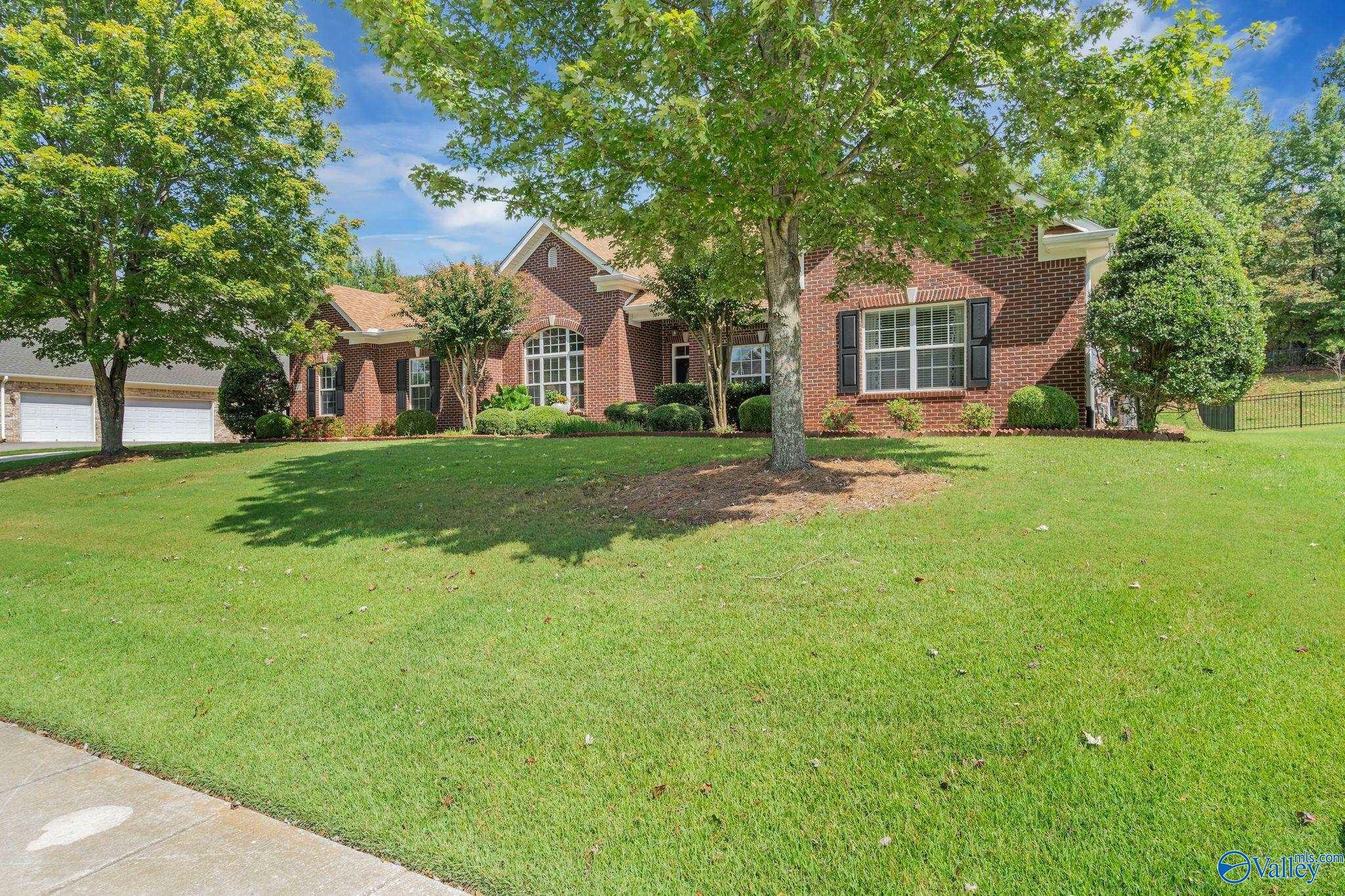 Property Photo:  229 Coldsprings Drive  AL 35749 