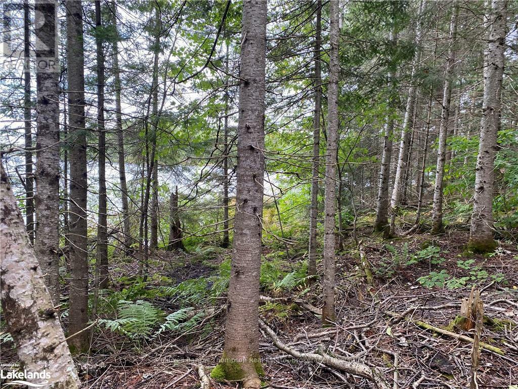 Property Photo:  1080 Healey Lake Road  ON P1L 1X3 