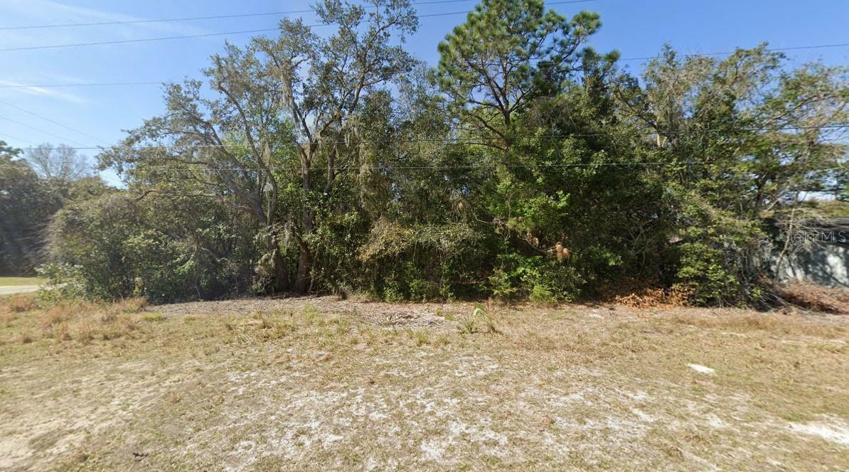 Property Photo:  1017 Carnegie Drive  FL 34450 