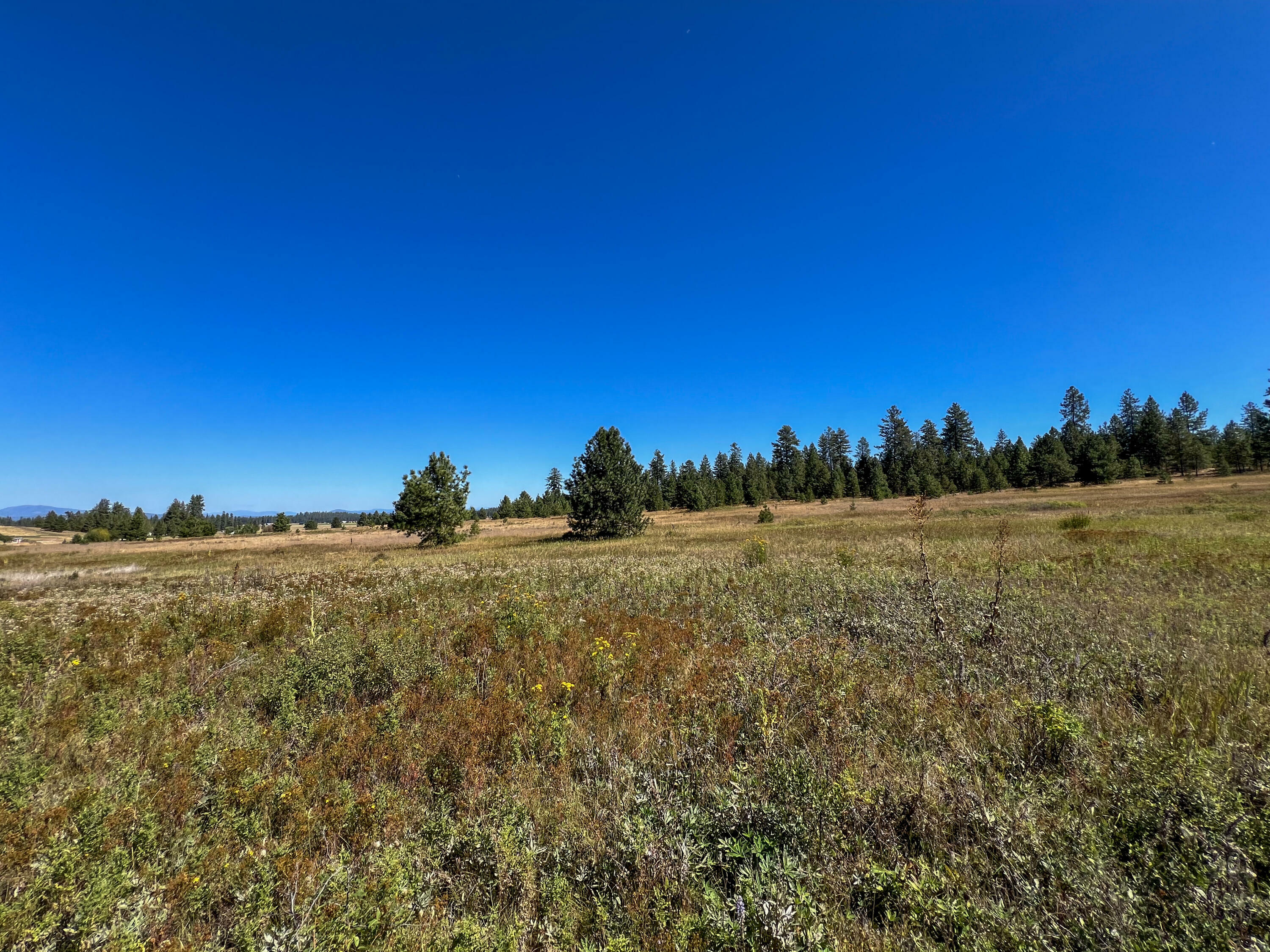 Property Photo:  52xx Lot 1 S Swenson Rd  WA 99006 