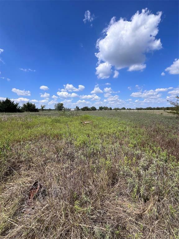 Property Photo:  Lot 12 Rs County Road 4500  TX 75472 