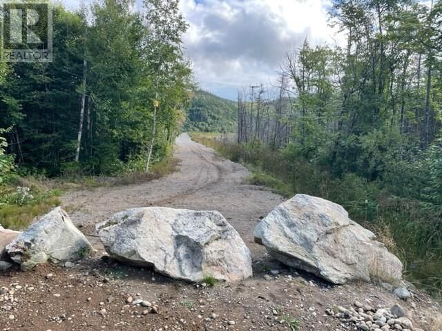 Property Photo:  460 Route - White's Road  NL A2N 2Y4 