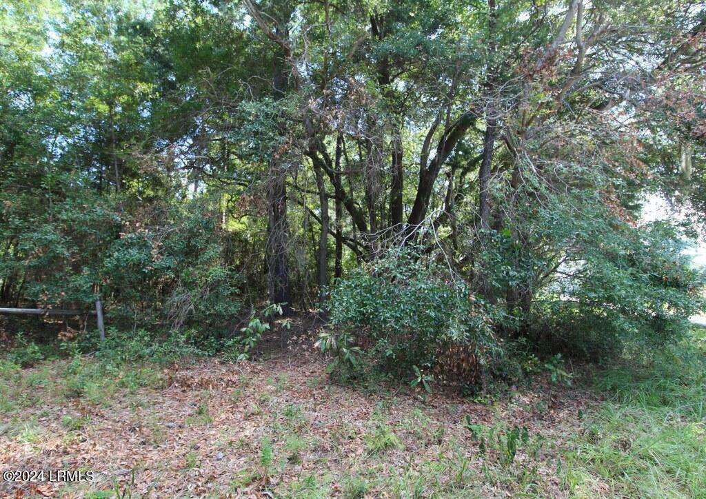 Property Photo:  234 Sam Doyle Drive  SC 29920 