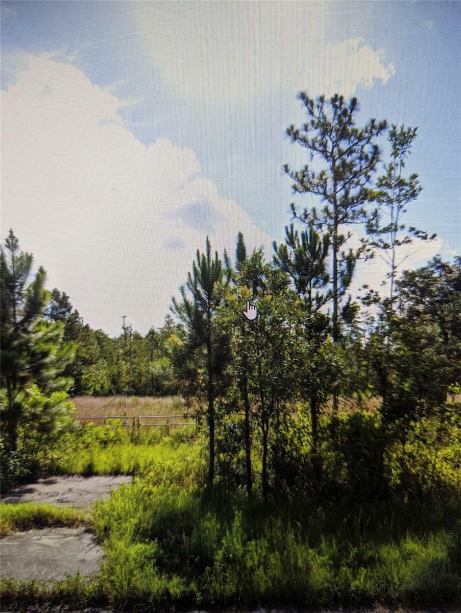 Property Photo:  Sweet Hill Rd  FL 33868 