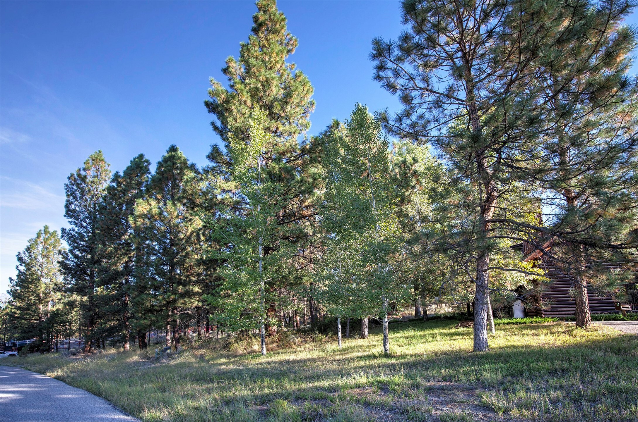 Property Photo:  695 Pallo Trail  MT 59840 