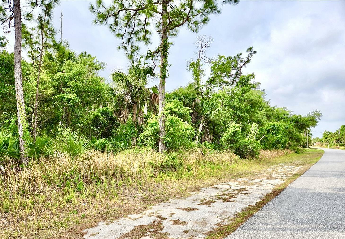 Property Photo:  Lot 27 Chickasaw Avenue  FL 33983 