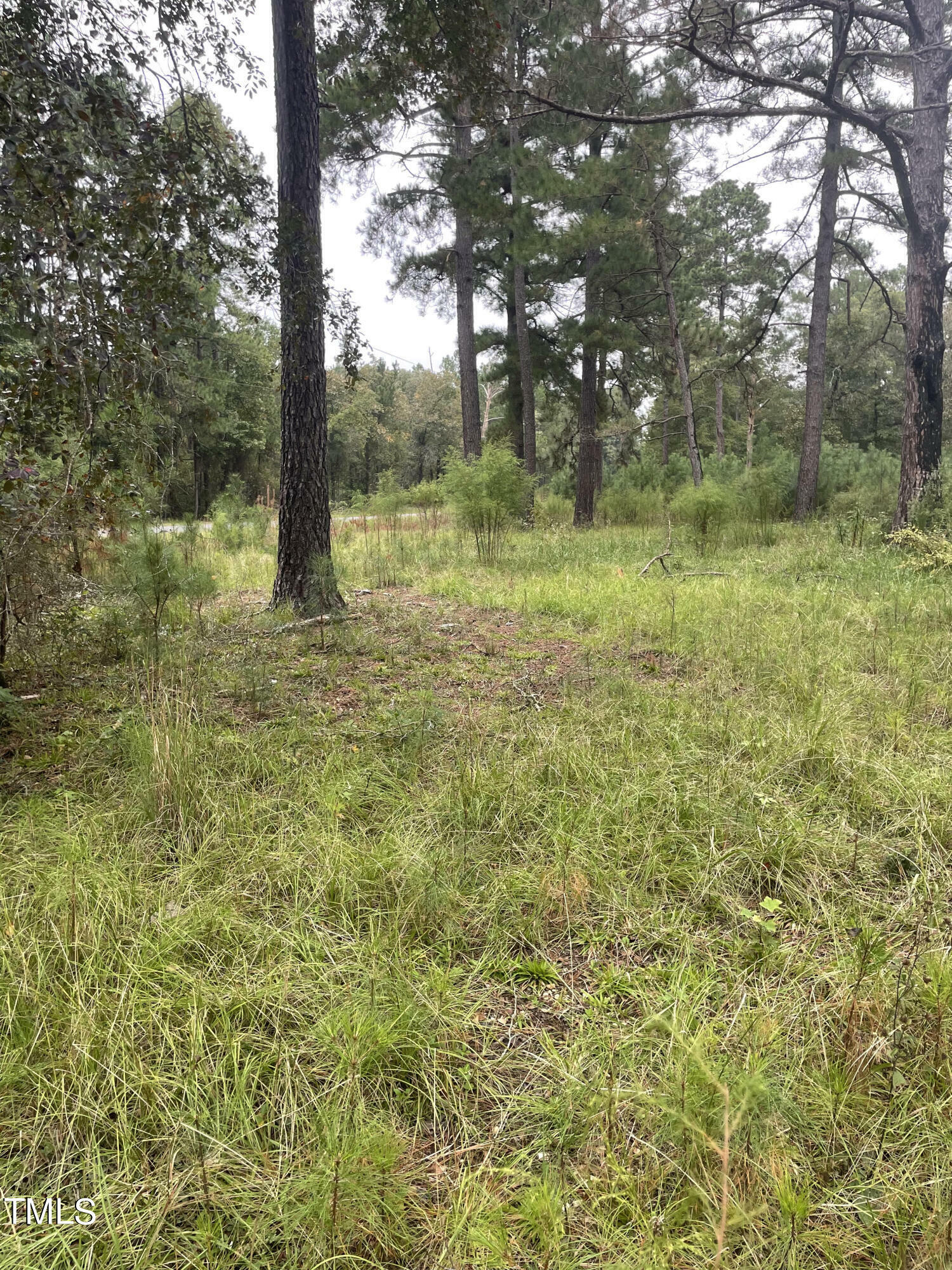 Lot 31 Creek Bend Drive  Vass NC 28394 photo