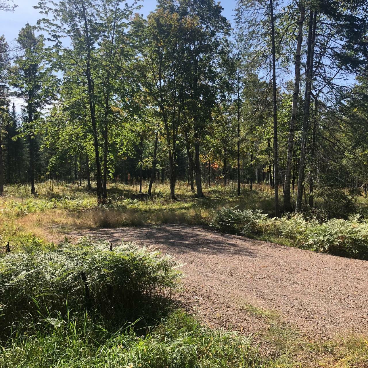 Property Photo:  Lot 2 Mercer Lake Cr S  WI 54547 