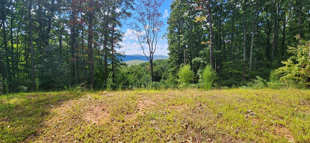 Property Photo:  2234 S Piney Spur Road  GA 30536 