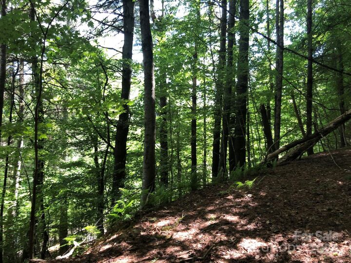 Property Photo: 000 N Blue Ridge Parkway E 167 NC 28640
