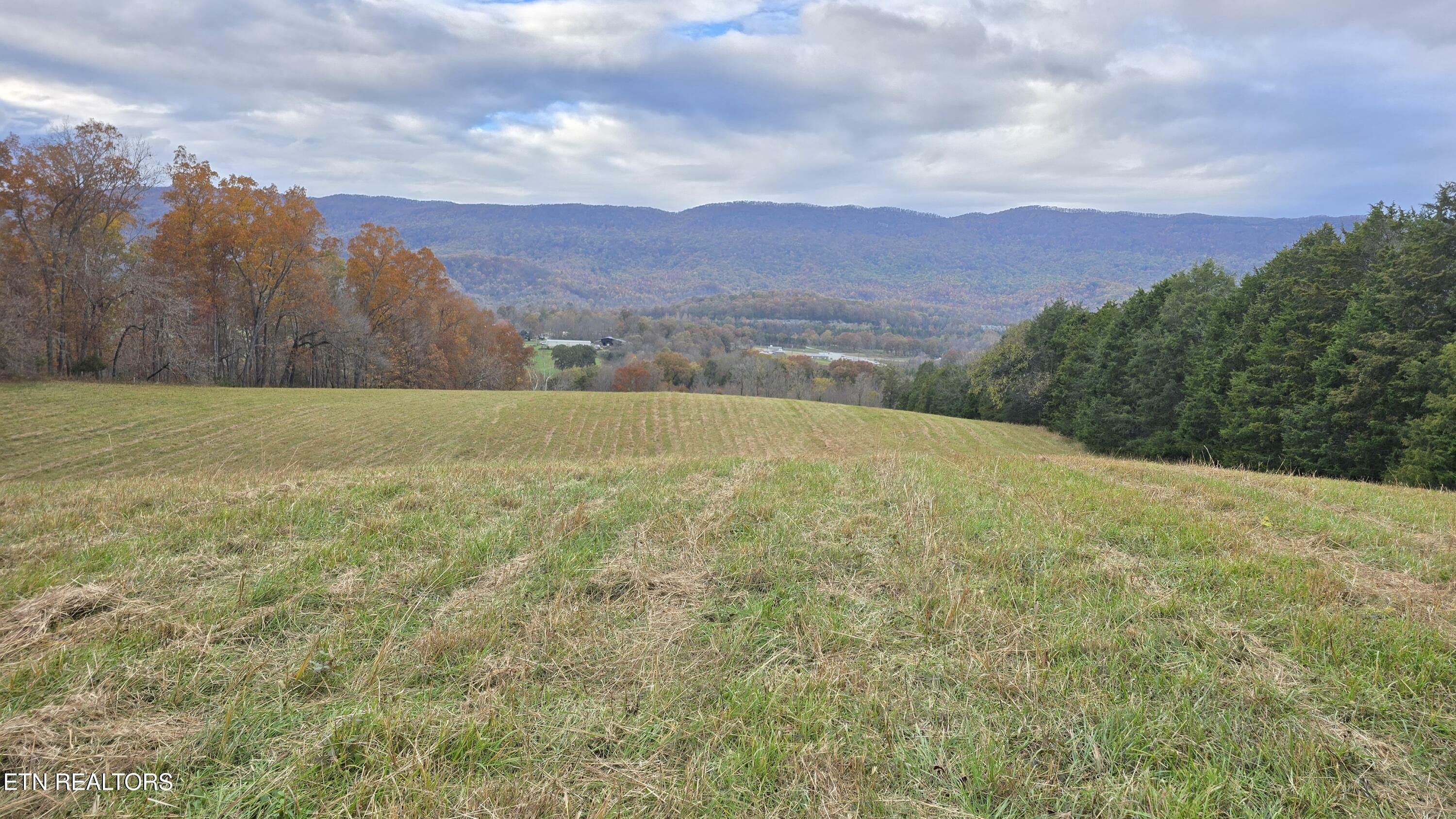 Property Photo:  715 Wheeler Rd  VA 24248 