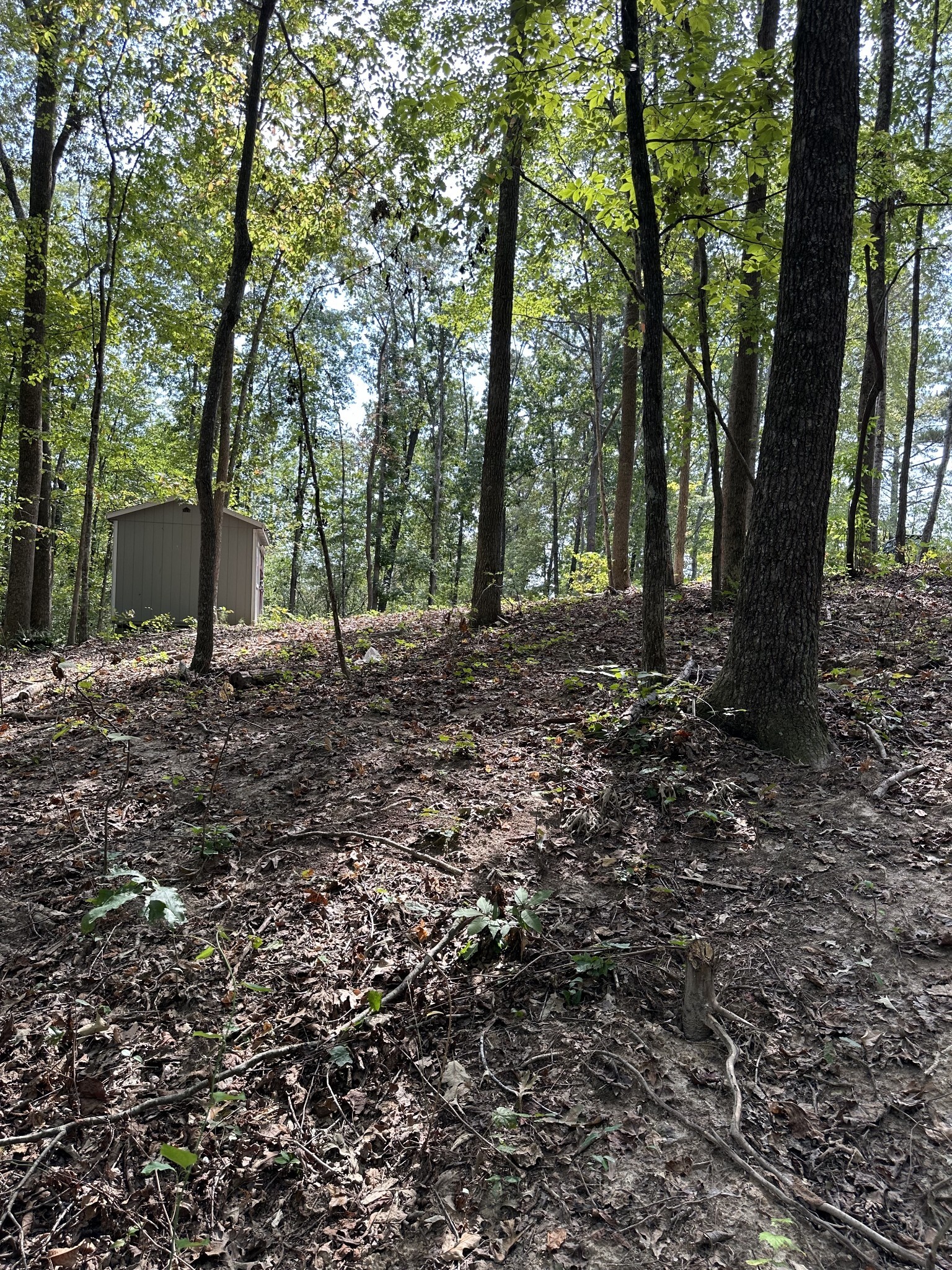 Property Photo: 0 News Circle TN 38222