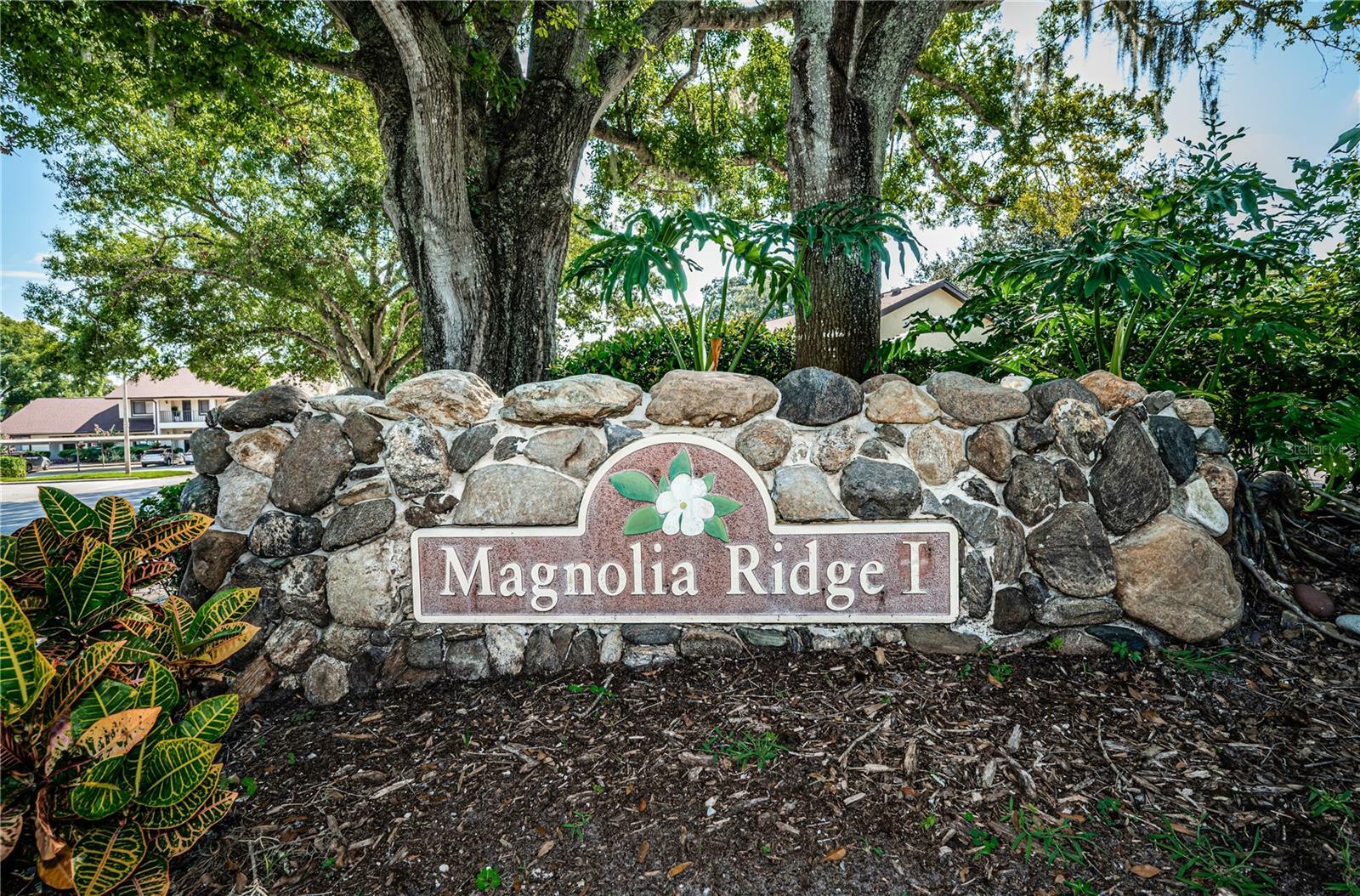 Property Photo:  3585 Magnolia Ridge Circle 702  FL 34684 