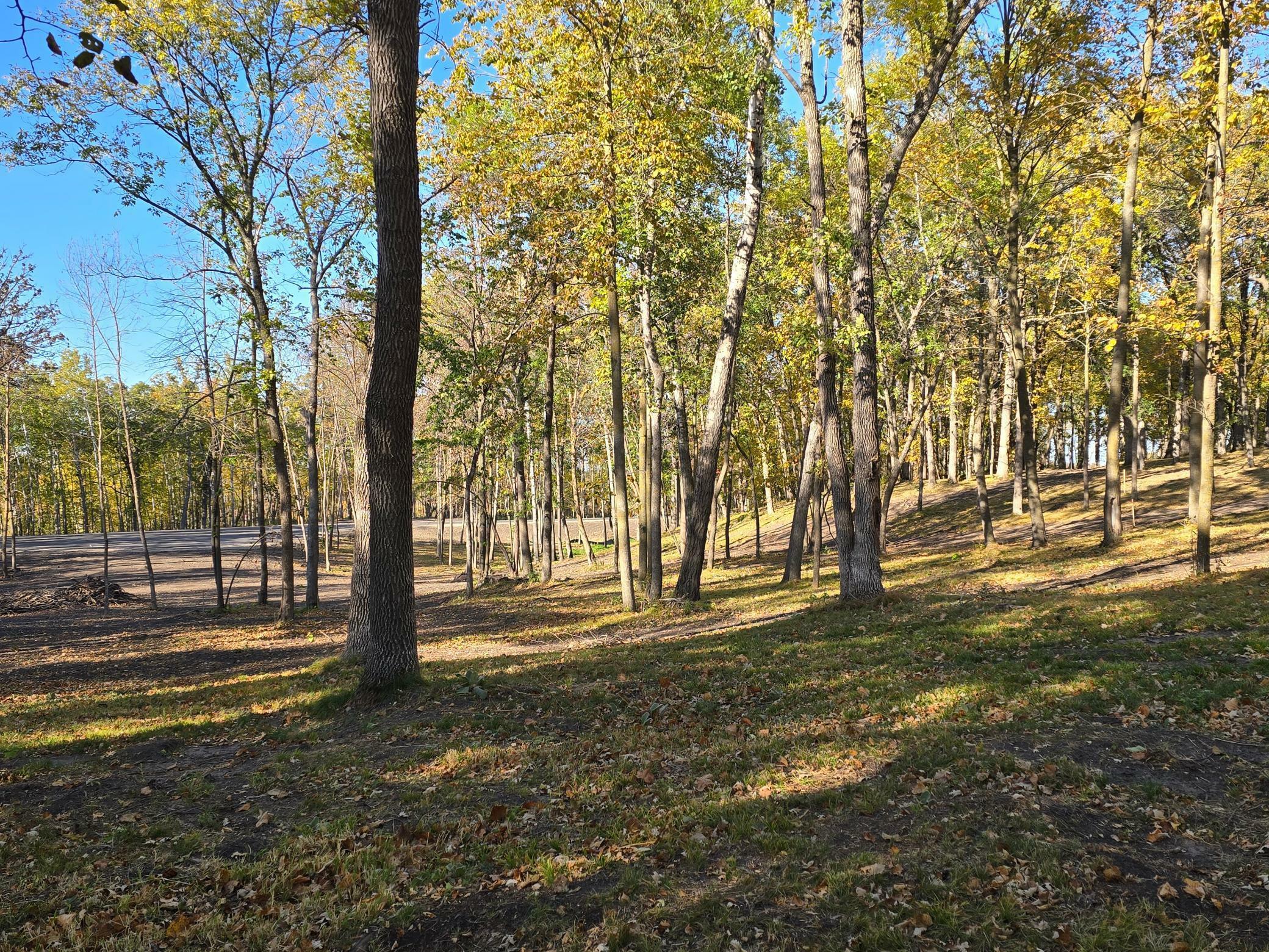 Property Photo:  Tract H Blybergs Lane  MN 56572 