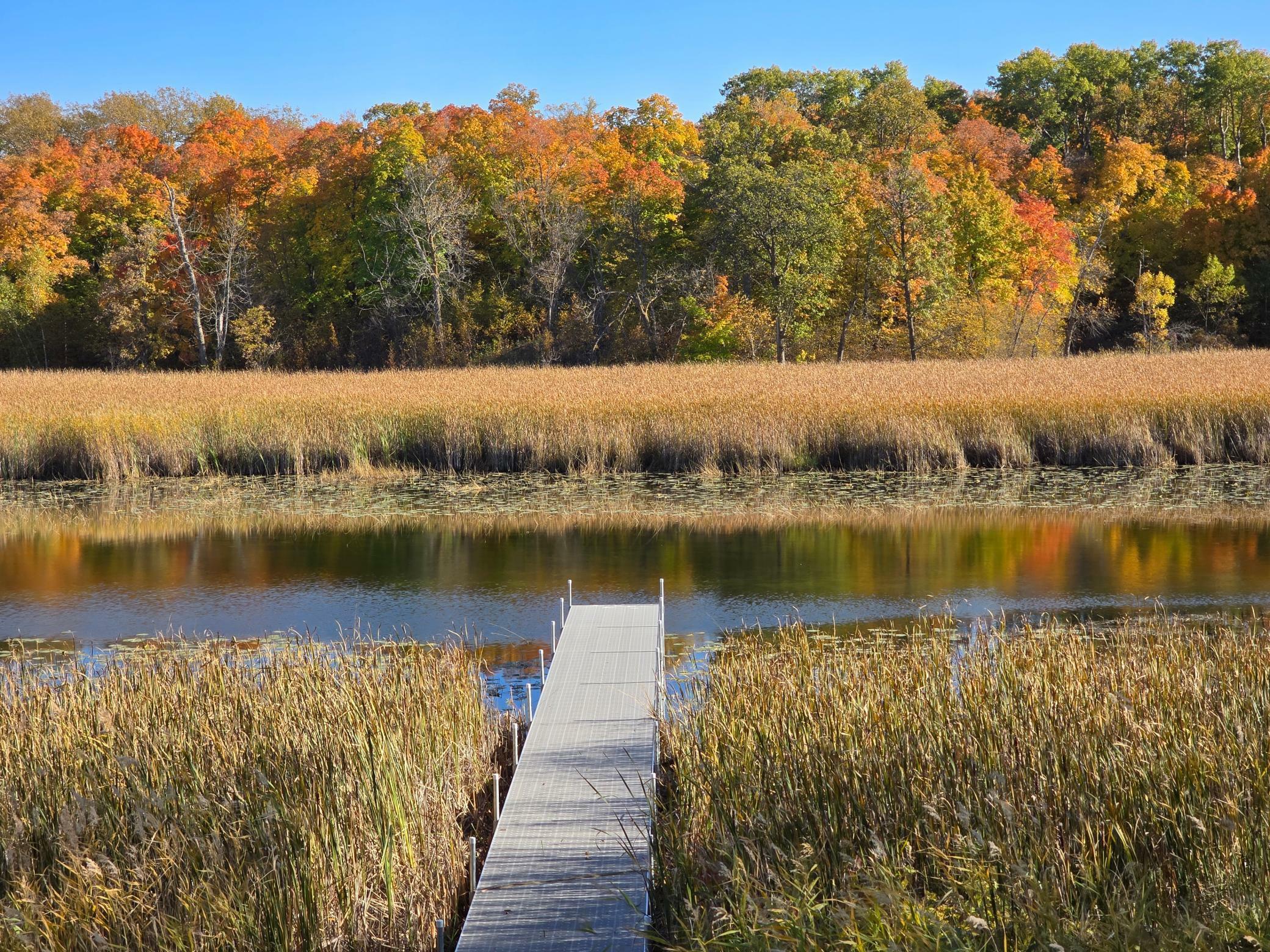 Property Photo:  Tract C Blybergs Lane  MN 56572 