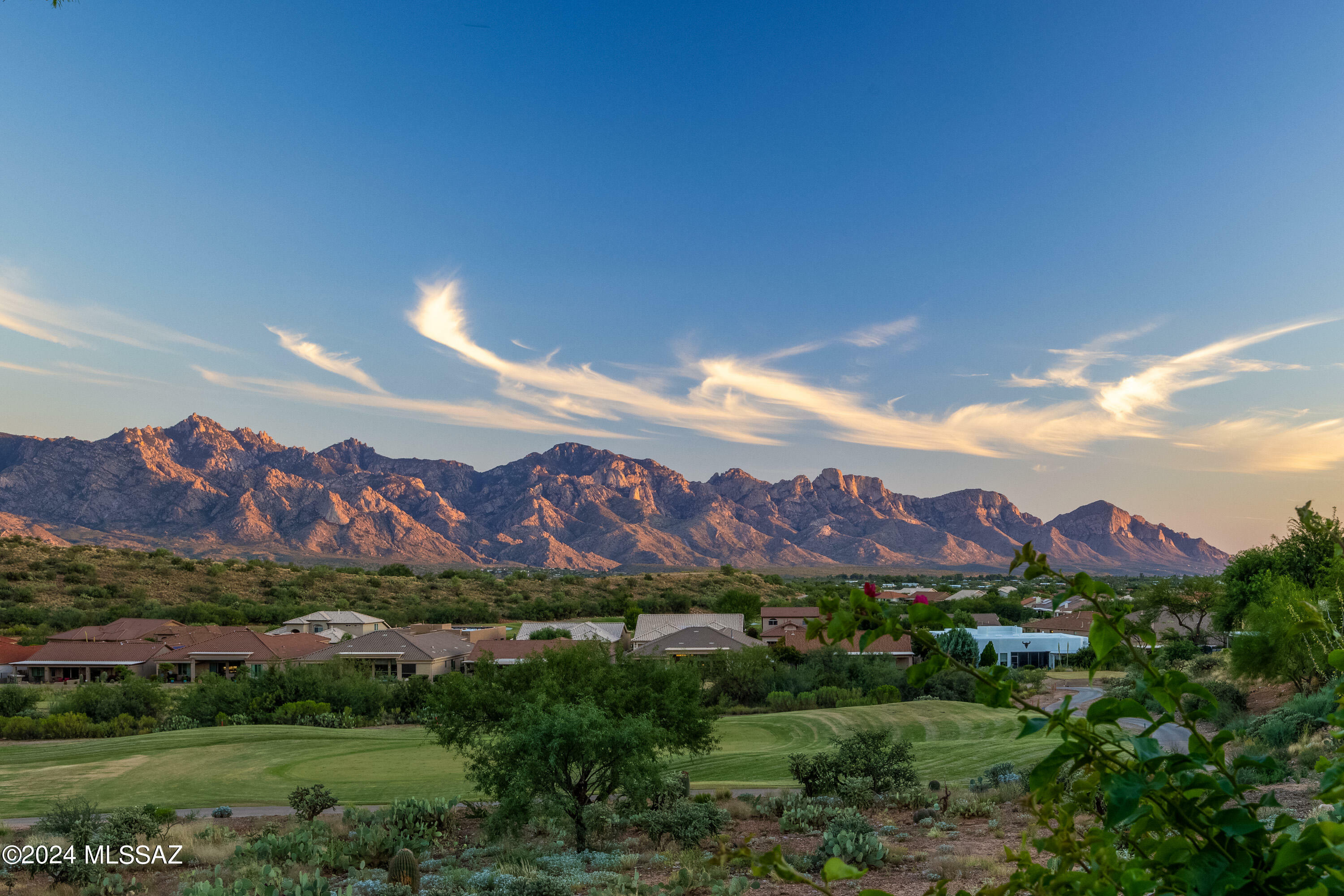 Property Photo:  38519 S Sand Crest Drive  AZ 85739 