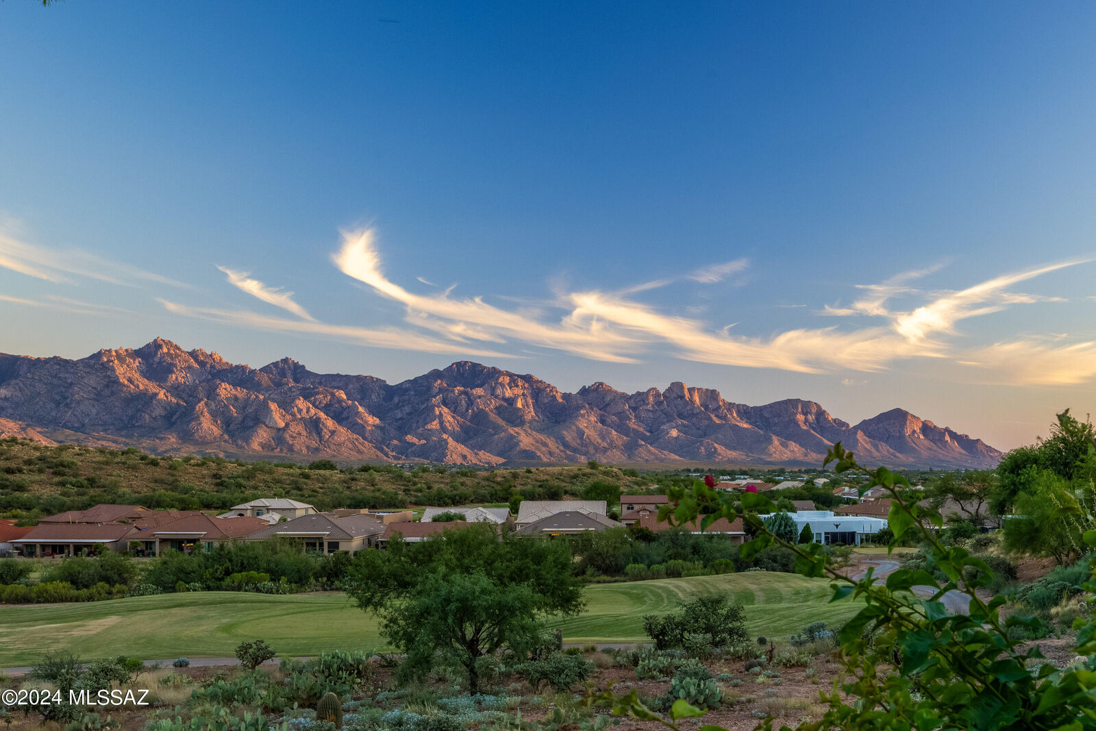 Property Photo: 38519 S Sand Crest Drive AZ 85739