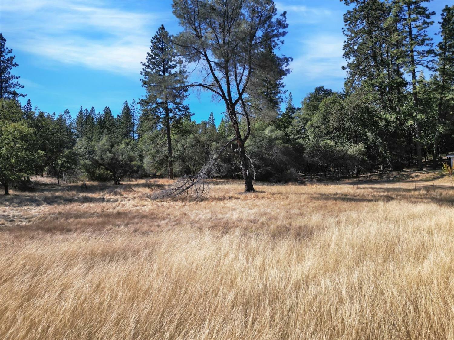 Property Photo: 10848 Eich CA 95935