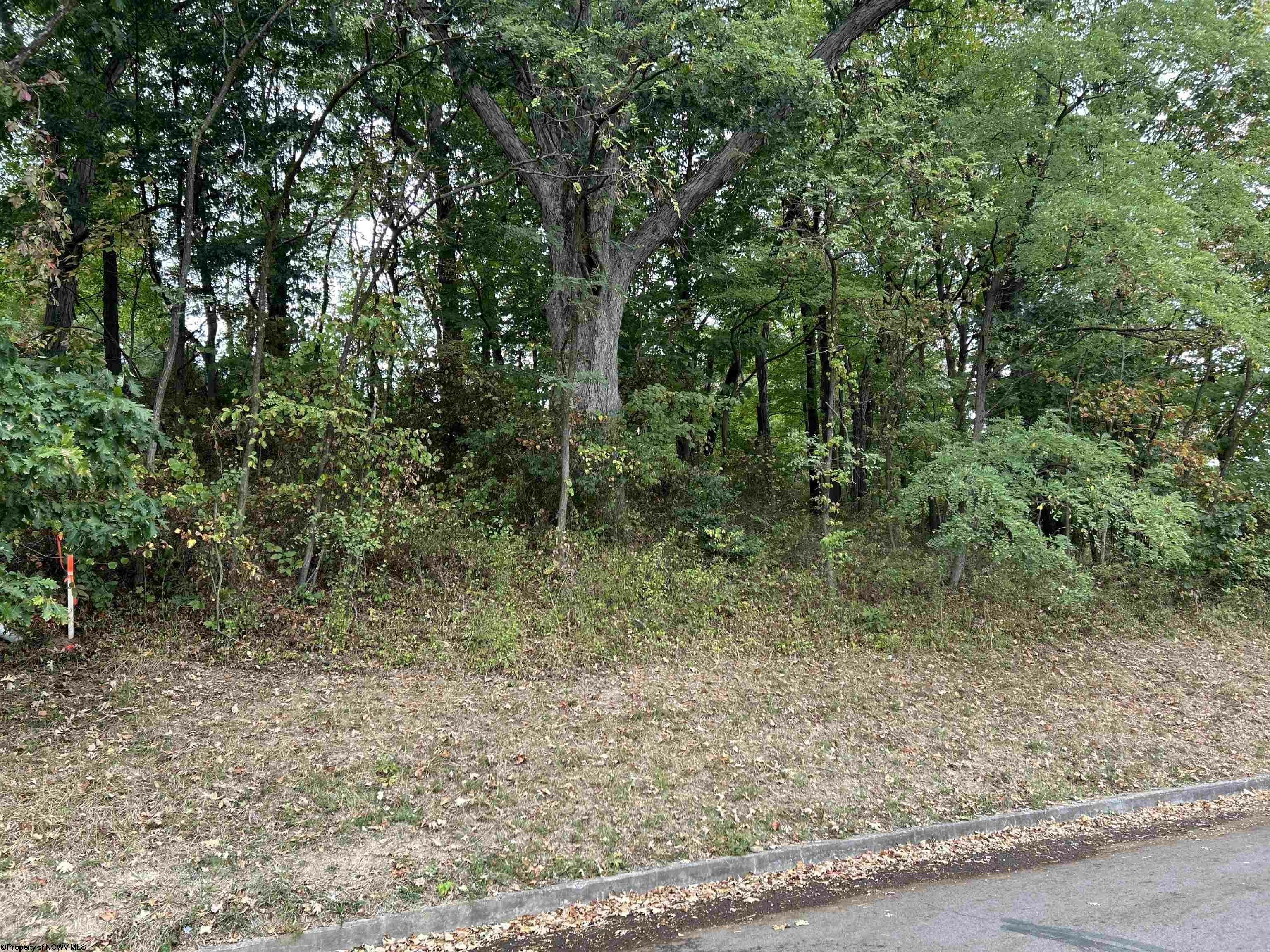 Property Photo:  Lot 45 Courtney Avenue  WV 26501 