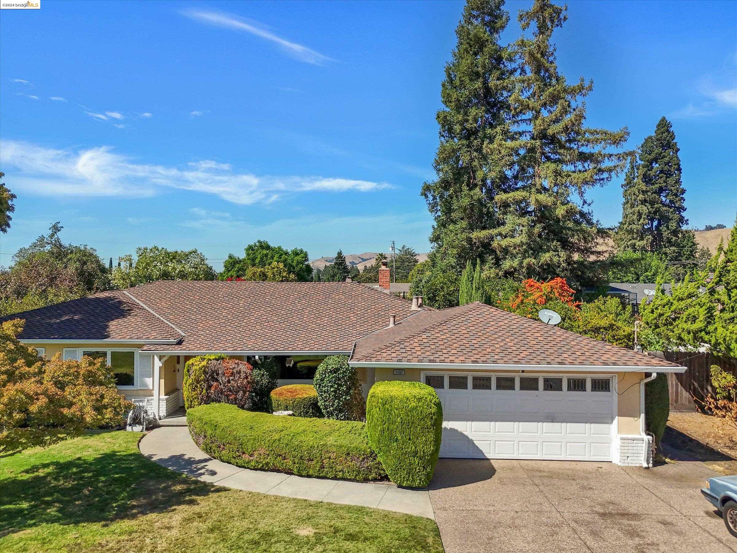 1137 Farragut Dr  Fremont CA 94539 photo